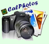 calphotos